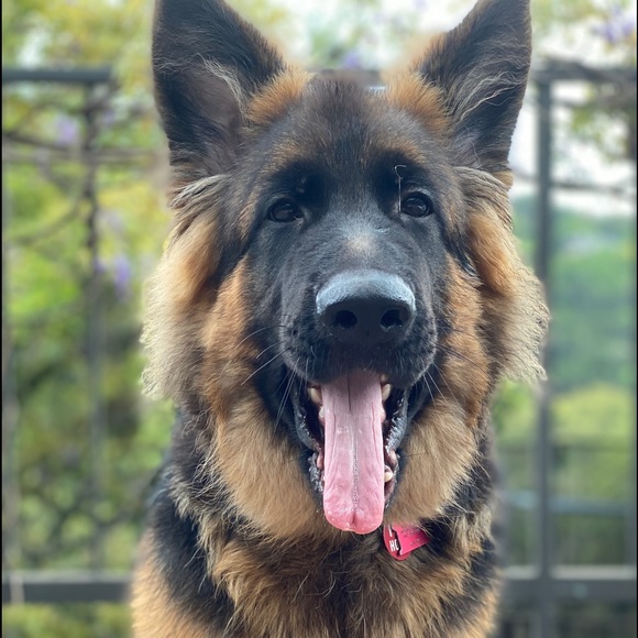 hi, i’m tess!! - Picture 1 of 1